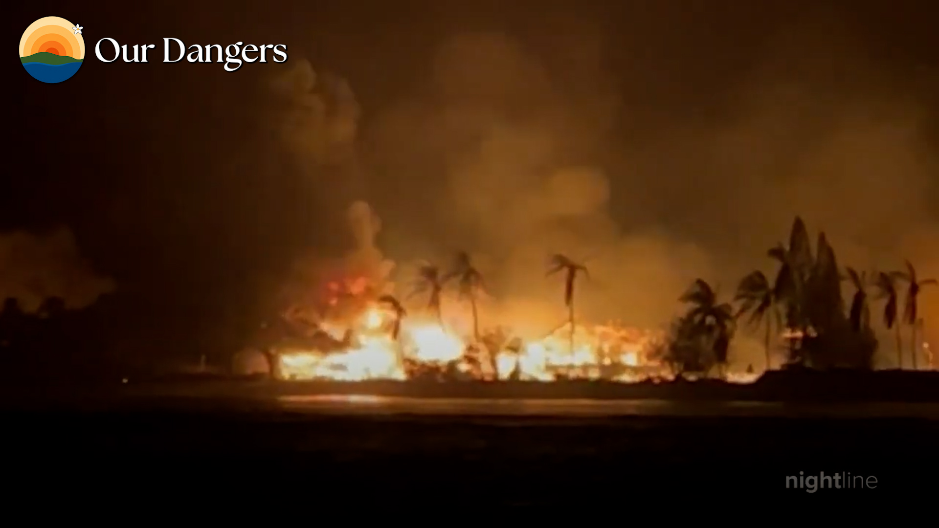 The Lahaina wildfire burning through palms at night